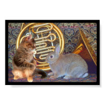 A Kitten, a Bunny and a French Horn posters by GotCats A Kitten, a Bunny and a French Horn posters