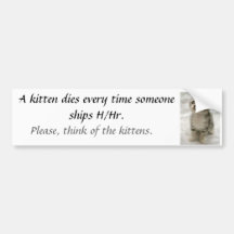 A kitten dies... bumper sticker
