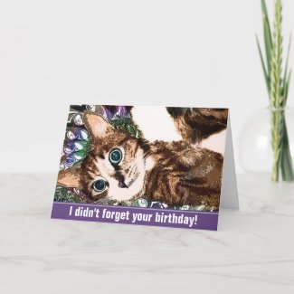 A Kitty on The I Didn't Forget Your Birthday Card