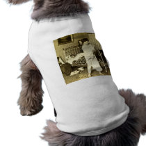 A Knight of Labor Vintage Stereoview 1901 Dog Clothes