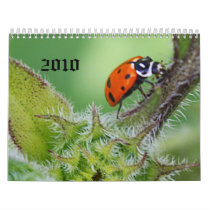 A Ladies Life , 2010 calendars by KATAGRAM A Ladies Life , 2010 calendars