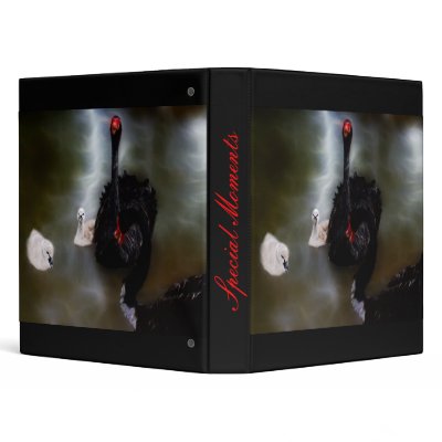 A Lakes Dream 3 Ring Binders by laureenr
