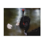 A LAKES DREAM POST CARDS