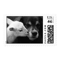A Lamb's Kiss postage