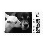 A Lamb's Kiss Stamp