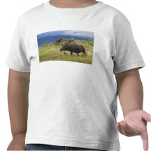 A large bull moose stands among willows t-shirts