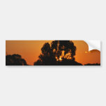 A Lasting Glow Bumper Sticker