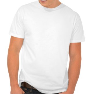 A liar always tell the truth t shirt