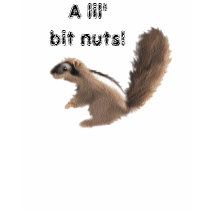 A lil'bit nuts! t-shirts