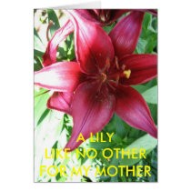 A LILY FOR MY MOTHER cards