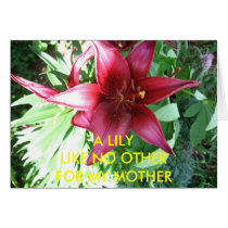 A LILY FOR MY MOTHER cards by Surprised A LILY FOR MY MOTHER cards