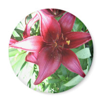 A LILY FOR MY MOTHER magnets
