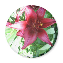 A LILY FOR MY MOTHER magnets
