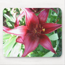 A LILY FOR MY MOTHER mousepads