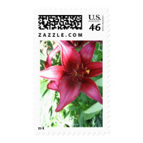 A LILY FOR MY MOTHER stamps