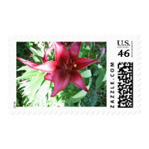 A LILY FOR MY MOTHER stamps