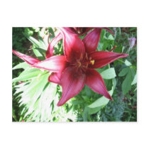 A LILY FOR MY MOTHER postcards