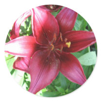 A LILY FOR MY MOTHER stickers