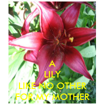 A LILY FOR MY MOTHER t-shirts