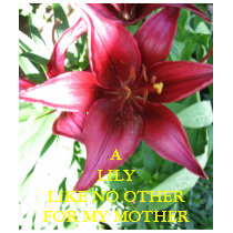 A LILY FOR MY MOTHER t-shirts