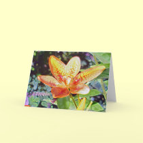A Lily of the Field cards