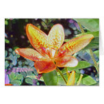 A Lily of the Field Greeting Cards