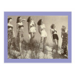 A Line of Beauties Postcard