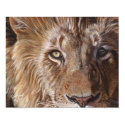 A Lion Face Poster posters by artbyakiko A Lion Face Poster posters