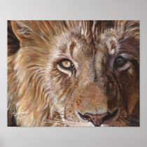 A Lion Face Poster