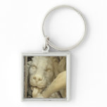 A Lion licking the foot of Daniel Key Chains
