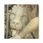 A Lion licking the foot of Daniel Refrigerator Magnet