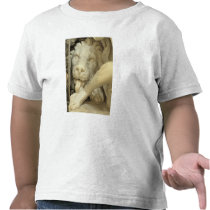 A Lion licking the foot of Daniel T-shirt