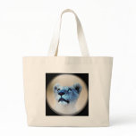 A lions surprise bag