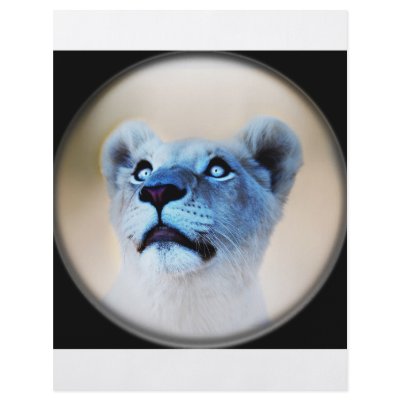 A lions surprise full color flyer by laureenr