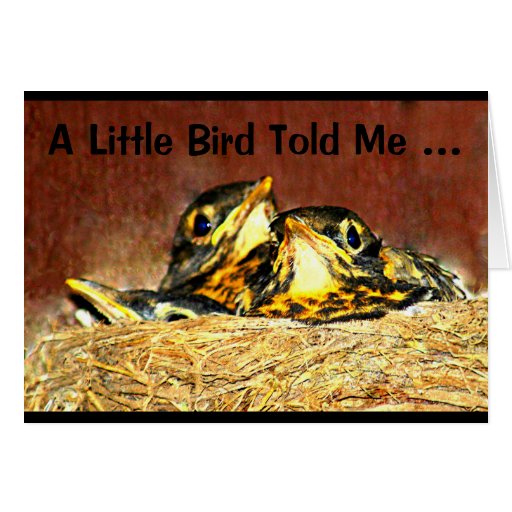 a-little-bird-told-me-it-s-your-birthday-card-zazzle