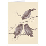 A Little Bird Told Me: Winter Birds Antique Sketch Cards
