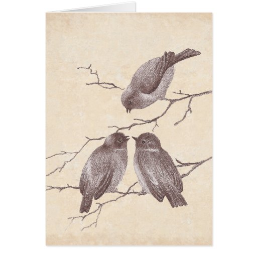 A Little Bird Told Me: Winter Birds Antique Sketch Cards