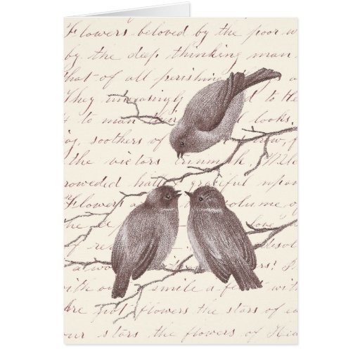 A Little Bird Told Me: Winter Birds Antique Sketch Cards