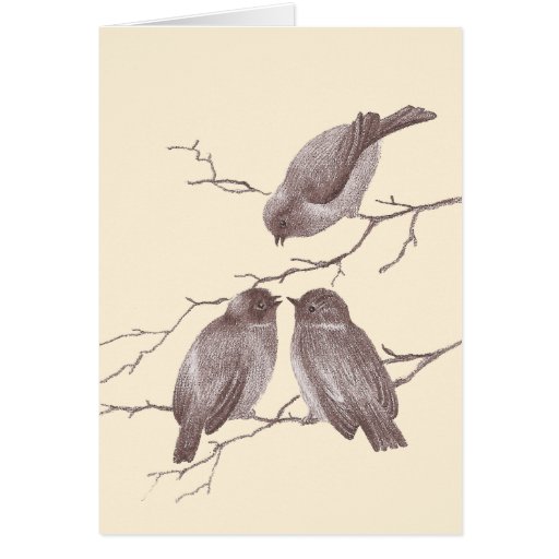 A Little Bird Told Me: Winter Birds Antique Sketch Cards