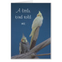 A little bird toldme cards