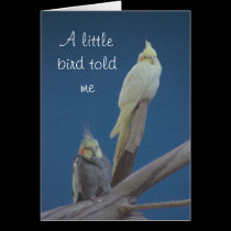 A little bird toldme cards