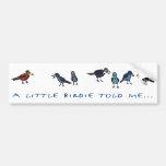 a little birdie told me Bumper Sticker