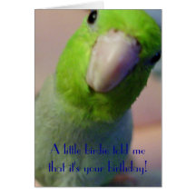 A Little Birdie Told Me... Greeting Card
