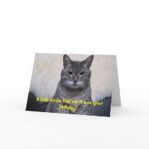 A little birdie told me it was your Birthday... Greeting Cards
