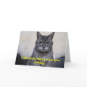A little birdie told me it was your Birthday... cards by aforte40 A little birdie told me it was your Birthday... cards