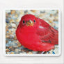 A Little Birdie Told Me Mouse Pad