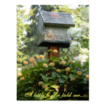A LITTLE BIRDIE TOLD ME... POST CARD