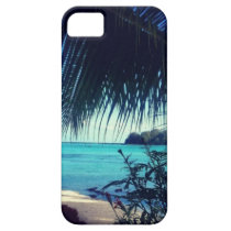 a little bit 'o paradiiiiiiiise! casemate cases