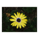 A little bit of sunshine posters by designcreatology A little bit of sunshine posters