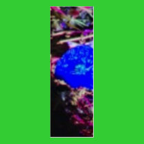A LITTLE BLUE profile cards by VIKINGJIM A LITTLE BLUE profile cards